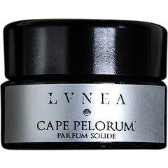 Cape Pelorum by Lvnea perfume bottle