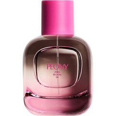 Zara Bloom 04 - Peony by Zara perfume bottle