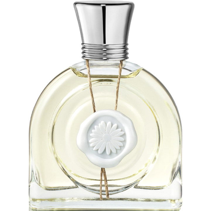 Fleur de Lune by M. Micallef perfume bottle