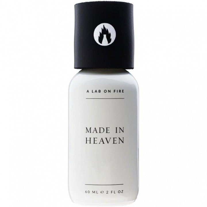 Made in Heaven by What We Do Is Secret / A Lab on Fire perfume bottle