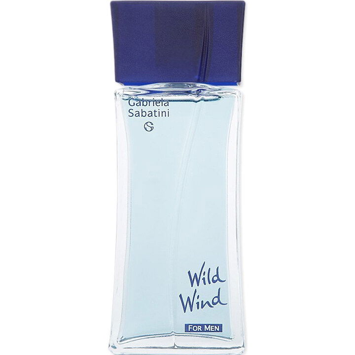 Wild Wind for Men (After Shave) by Gabriela Sabatini perfume bottle