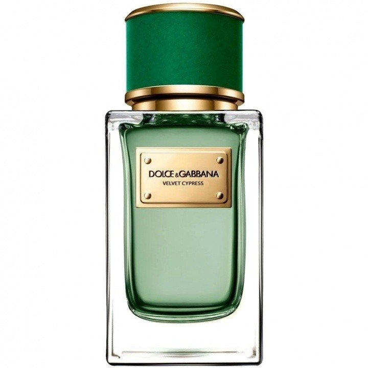 Velvet Cypress by Dolce & Gabbana perfume bottle