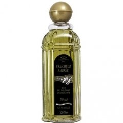 Fraîcheur Ambrée by Parfums Christine Darvin perfume bottle