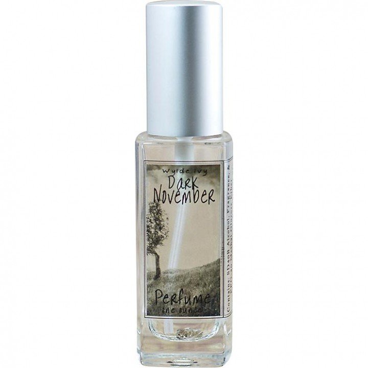 Dark November (Perfume) by Wylde Ivy perfume bottle