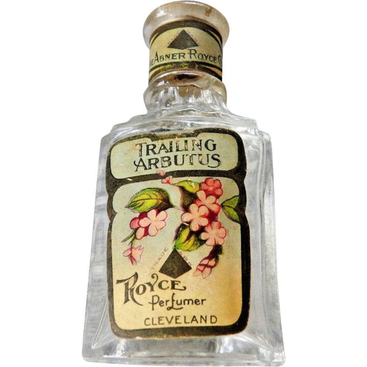 Trailing Arbutus by The Abner Royce Co. perfume bottle
