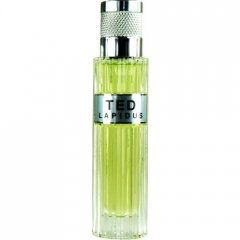 Ted Lapidus pour Homme (1999) EDT by Ted Lapidus perfume bottle