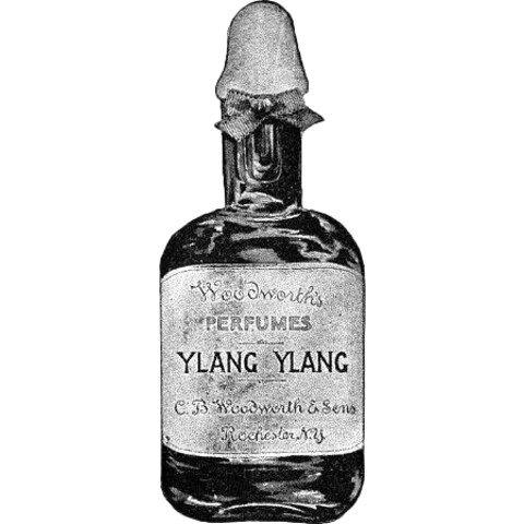 Ylang Ylang by C. B. Woodworth & Sons Co. perfume bottle