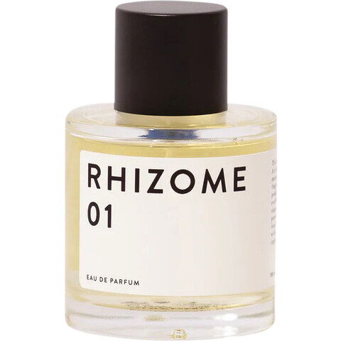 Rhizome 01 by Rhizome perfume bottle
