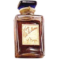 Fou de la Dame by Yvonne Negri perfume bottle