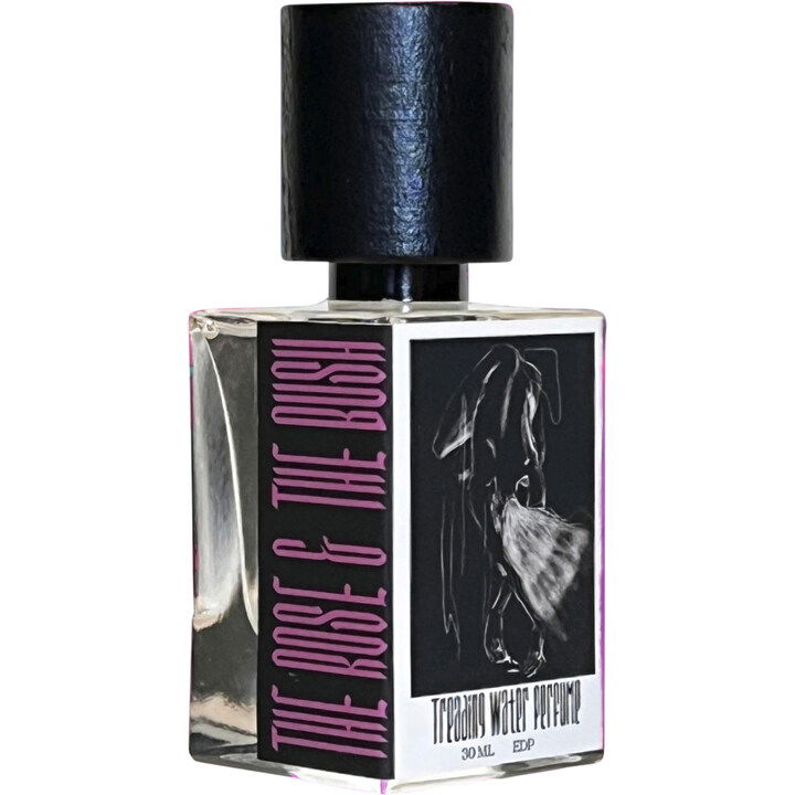 The Rose & The Bush by Treading Water Perfume perfume bottle