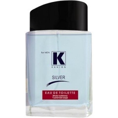Kanion Silver by Pollena Eva perfume bottle