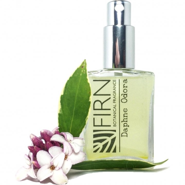 Daphne Odora by Firn Botanical Fragrance perfume bottle