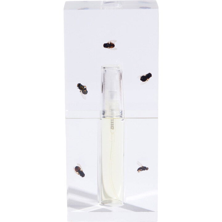 Radical Hopelessness