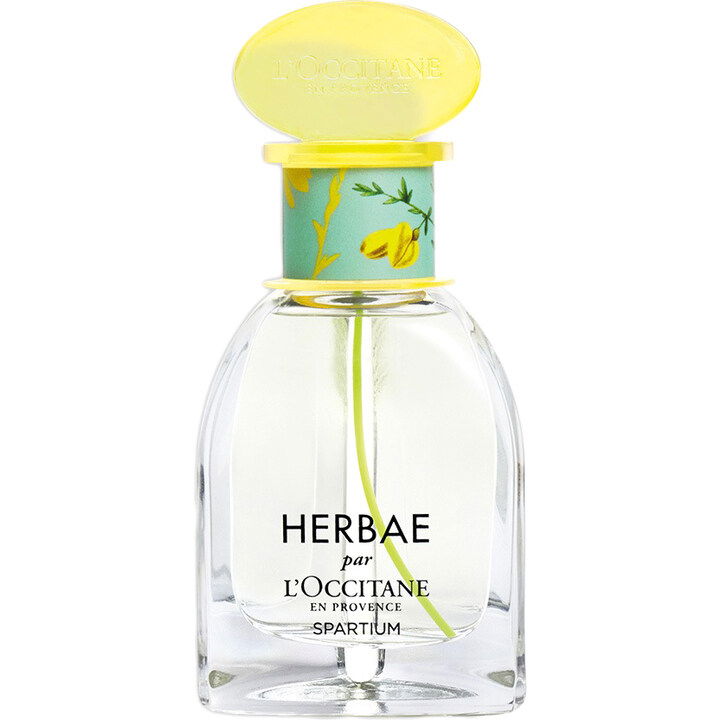 Herbae Spartium by L'Occitane en Provence perfume bottle
