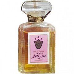 Nur Du by Karma Kosmetik perfume bottle