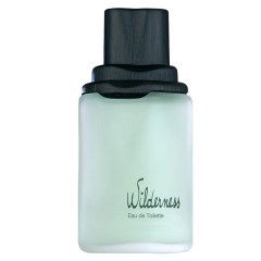Wilderness EDT by Avon perfume bottle