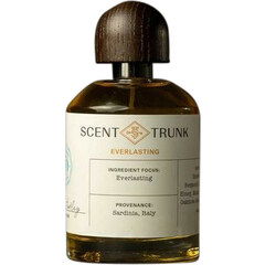 Everlasting by Scent Trunk perfume bottle