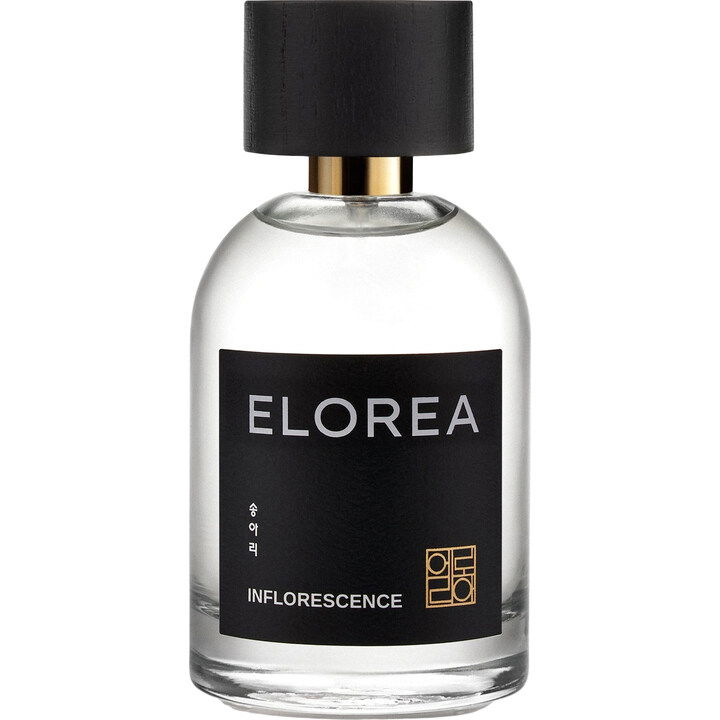 Inflorescence / 송아리