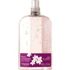 Fleurs de Brignoles / Plum Blossom by L'Occitane en Provence perfume bottle