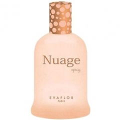 Nuage spicy by Evaflor perfume bottle