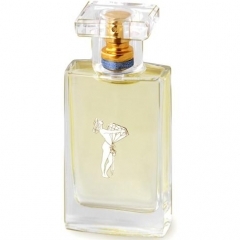 Passerelle by Tommi Sooni perfume bottle