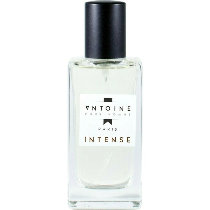 Antoine Intense by Antoine Parfums perfume bottle