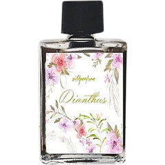 Dianthus by Wild Perfume perfume bottle