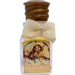 Philadelphus by Borsari 1870 perfume bottle