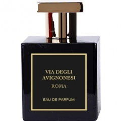 Via degli Avignonesi, Roma