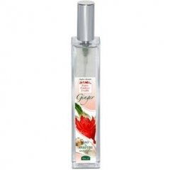 Fiori Radici Frutti - Ginger by Helan perfume bottle