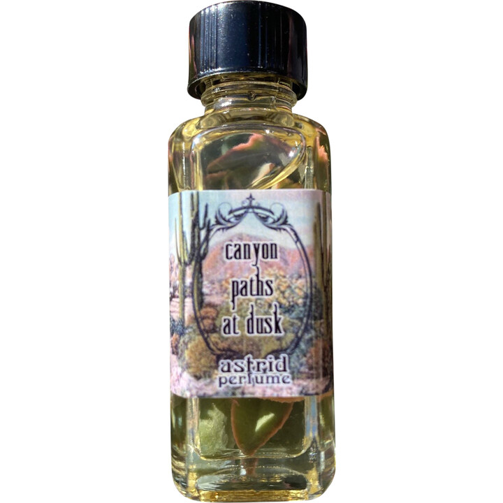 Canyon Paths at Dusk