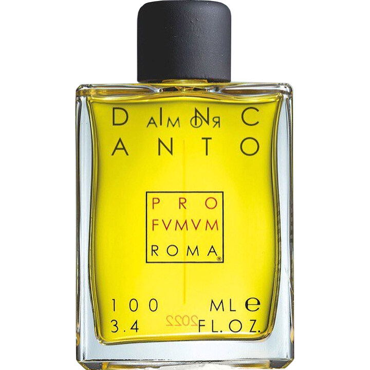 Dincanto by Profumum Roma perfume bottle