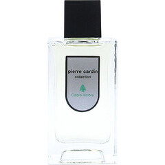 Pierre Cardin Collection - Cèdre Ambré (After Shave) by Pierre Cardin perfume bottle