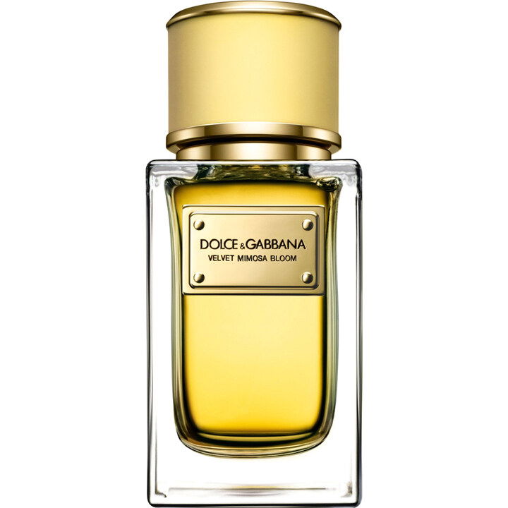 Velvet Mimosa Bloom by Dolce & Gabbana perfume bottle