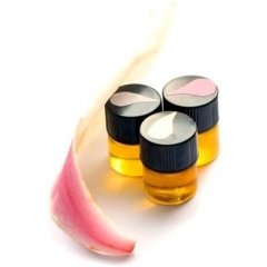 Magnolia Grove II by Phoenix Botanicals perfume bottle