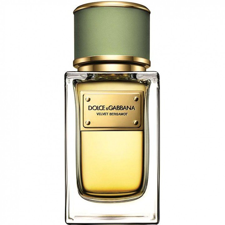 Velvet Bergamot by Dolce & Gabbana perfume bottle