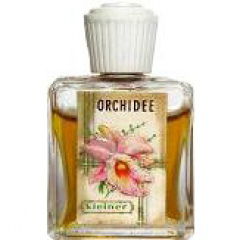 Orchidee by Gebrüder Kleiner perfume bottle