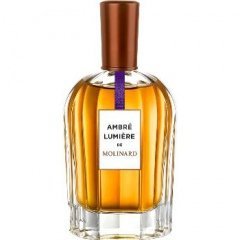 La Collection Privée - Ambré Lumière by Molinard perfume bottle