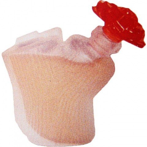 Blossom by Fortune Duck perfume bottle