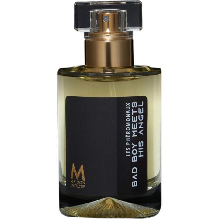Bad Boy Meets His Angel by Maison Olfactif perfume bottle