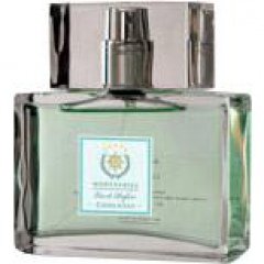 Coolness by Wörthersee perfume bottle