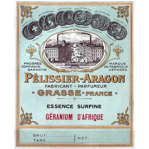 Essence Surfine Géranium d'Afrique by Nogara / Péllisier-Aragon / Les Fontaines Parfumées perfume bottle