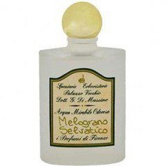 Melograno Selvatico by Spezierie Palazzo Vecchio / I Profumi di Firenze perfume bottle
