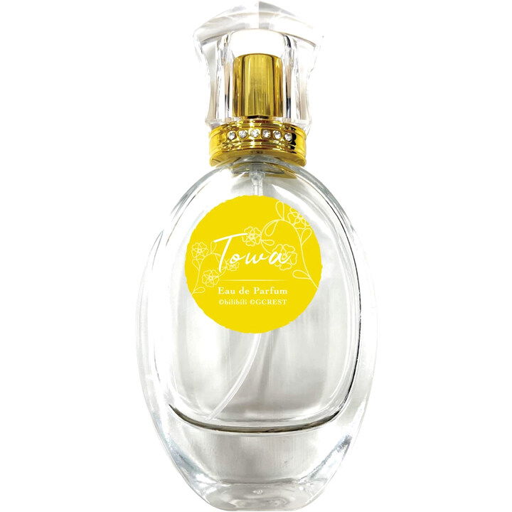 Dream Meister and the Recollected Black Fairy - Towa / 夢職人と忘れじの黒い妖精 - トワ by Fairytail Parfum / フェアリーテイル perfume bottle