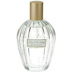 Floral Collection - Lily of the Valley / Convallaria Majalis