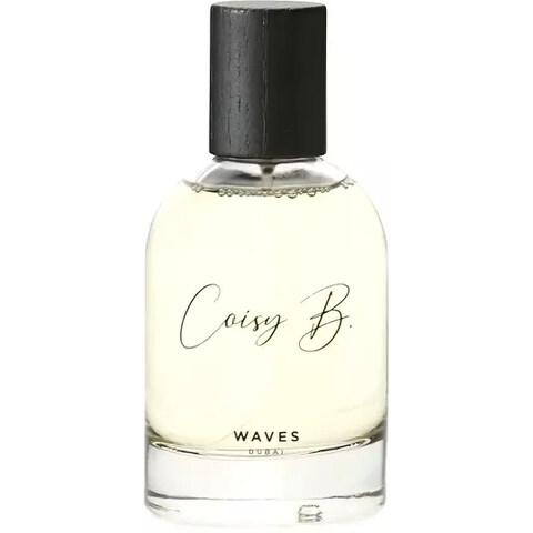 Waves by Coisy B. perfume bottle