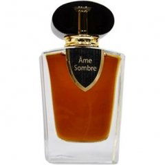 Ãme Sombre by Ame Sombre perfume bottle