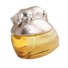 Delicious Amber by Gale Hayman perfume bottle