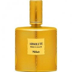 Absolute Bidun Esam by Ahmed Al Maghribi perfume bottle