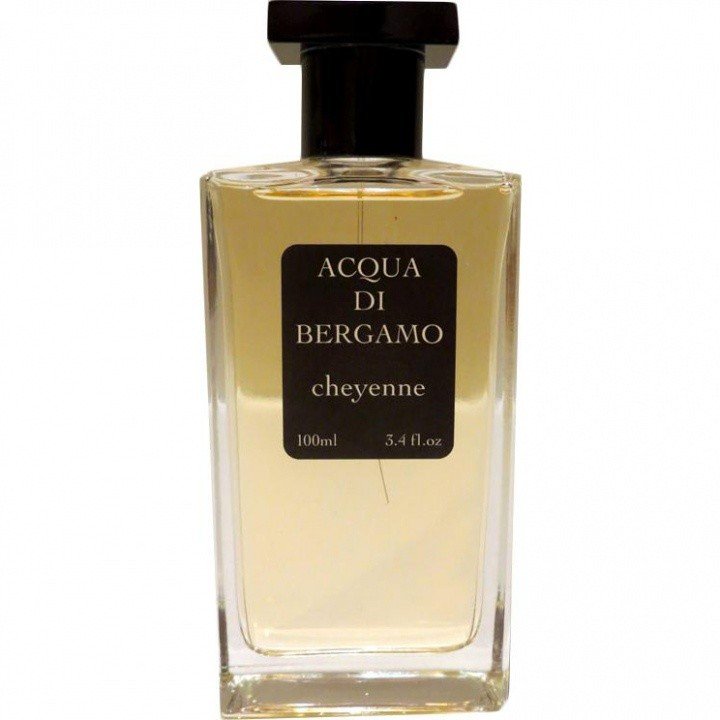 Cheyenne by Acqua di Bergamo perfume bottle